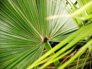 IMG_1521.JPG
